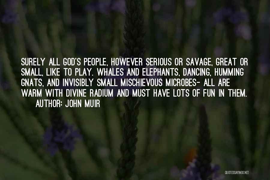 John Muir Quotes: Surely All God's People, However Serious Or Savage, Great Or Small, Like To Play. Whales And Elephants, Dancing, Humming Gnats,