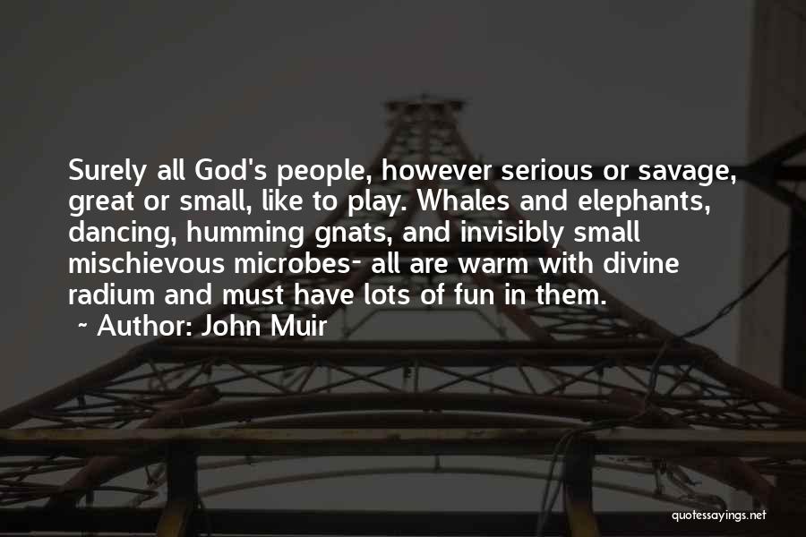 John Muir Quotes: Surely All God's People, However Serious Or Savage, Great Or Small, Like To Play. Whales And Elephants, Dancing, Humming Gnats,