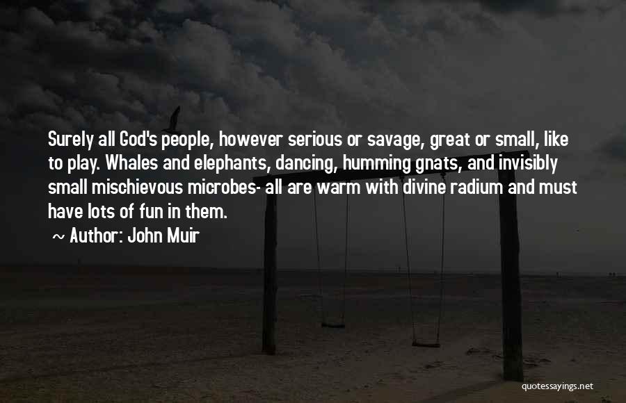 John Muir Quotes: Surely All God's People, However Serious Or Savage, Great Or Small, Like To Play. Whales And Elephants, Dancing, Humming Gnats,