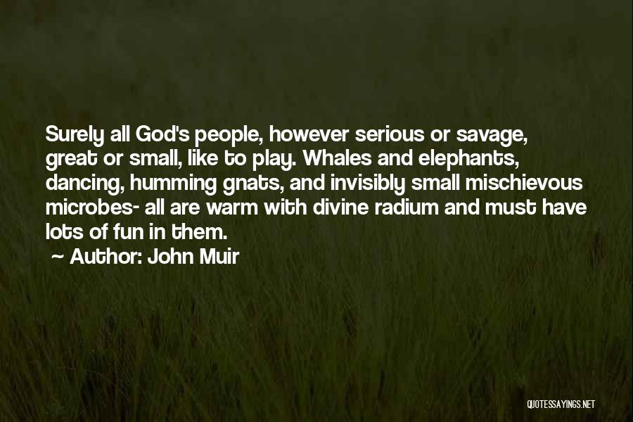 John Muir Quotes: Surely All God's People, However Serious Or Savage, Great Or Small, Like To Play. Whales And Elephants, Dancing, Humming Gnats,