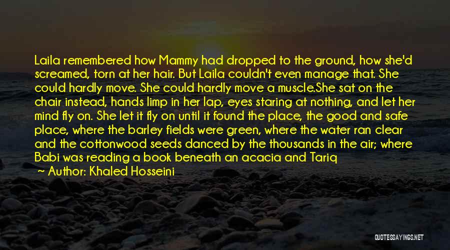 Khaled Hosseini Quotes: Laila Remembered How Mammy Had Dropped To The Ground, How She'd Screamed, Torn At Her Hair. But Laila Couldn't Even