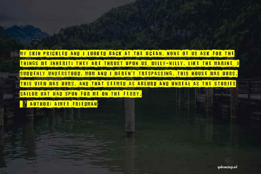 Aimee Friedman Quotes: My Skin Prickled And I Looked Back At The Ocean. None Of Us Ask For The Things We Inherit; They