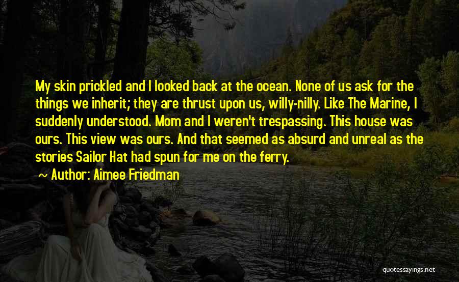 Aimee Friedman Quotes: My Skin Prickled And I Looked Back At The Ocean. None Of Us Ask For The Things We Inherit; They
