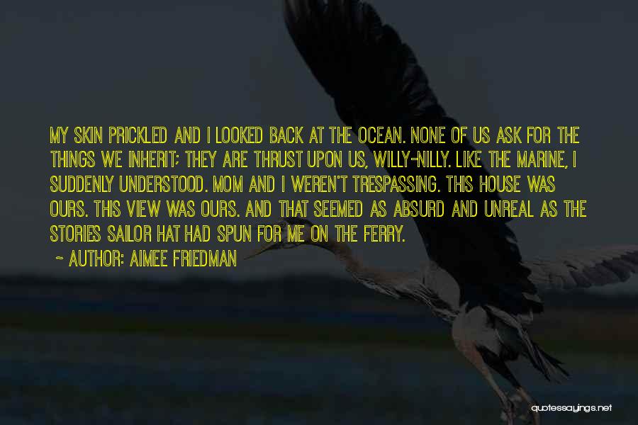 Aimee Friedman Quotes: My Skin Prickled And I Looked Back At The Ocean. None Of Us Ask For The Things We Inherit; They