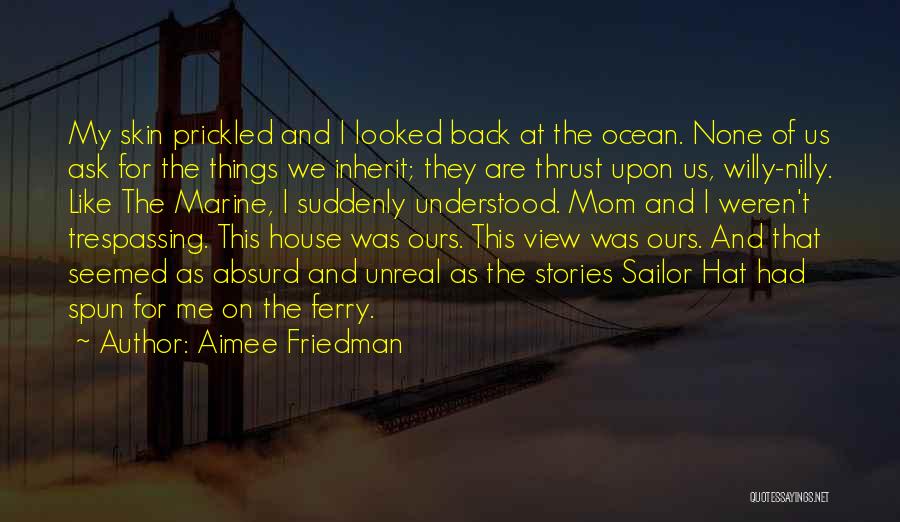 Aimee Friedman Quotes: My Skin Prickled And I Looked Back At The Ocean. None Of Us Ask For The Things We Inherit; They