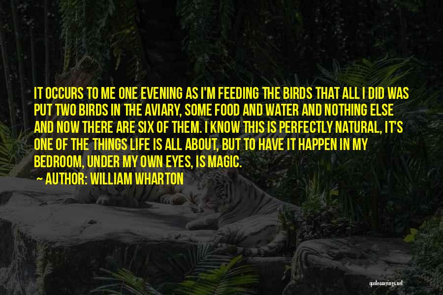 William Wharton Quotes: It Occurs To Me One Evening As I'm Feeding The Birds That All I Did Was Put Two Birds In