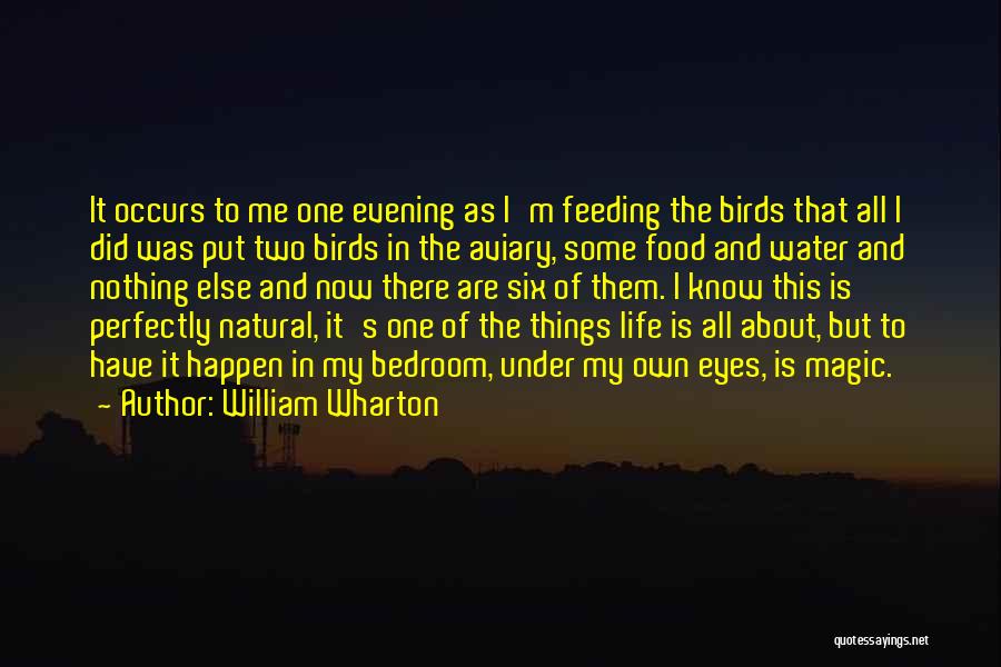 William Wharton Quotes: It Occurs To Me One Evening As I'm Feeding The Birds That All I Did Was Put Two Birds In