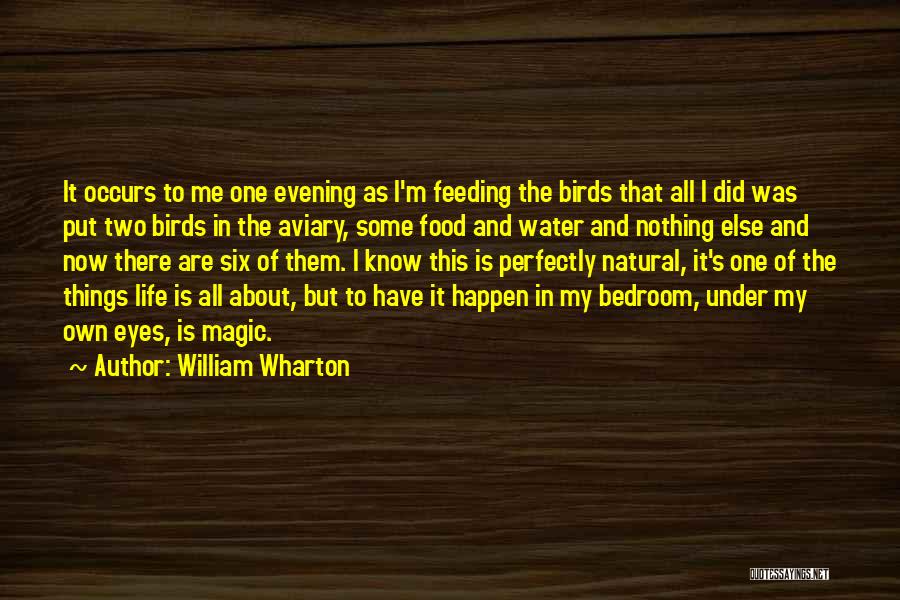 William Wharton Quotes: It Occurs To Me One Evening As I'm Feeding The Birds That All I Did Was Put Two Birds In