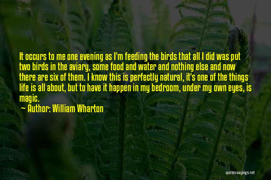 William Wharton Quotes: It Occurs To Me One Evening As I'm Feeding The Birds That All I Did Was Put Two Birds In