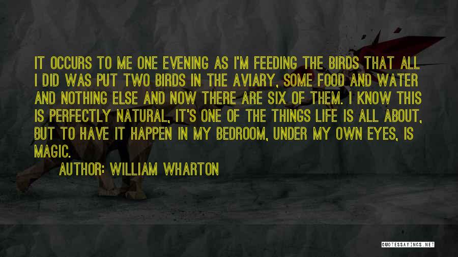 William Wharton Quotes: It Occurs To Me One Evening As I'm Feeding The Birds That All I Did Was Put Two Birds In