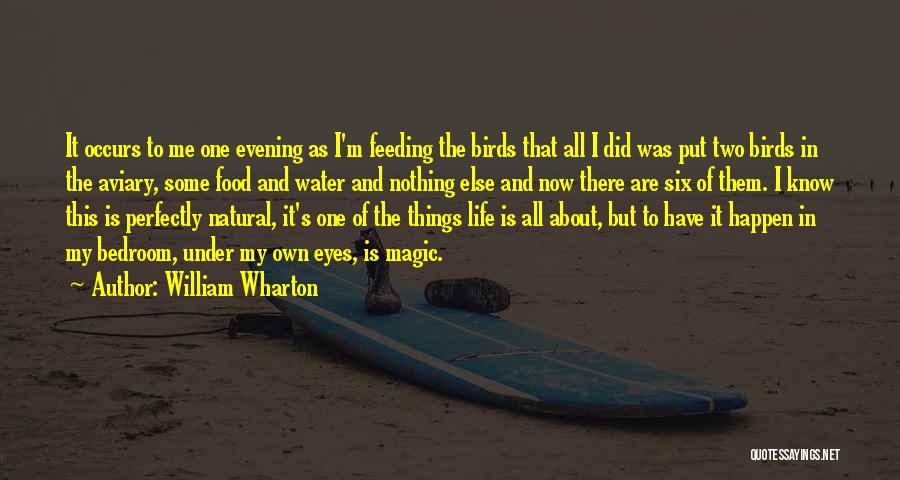 William Wharton Quotes: It Occurs To Me One Evening As I'm Feeding The Birds That All I Did Was Put Two Birds In