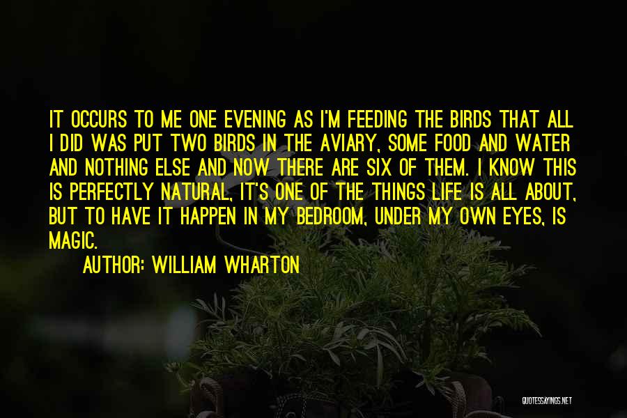 William Wharton Quotes: It Occurs To Me One Evening As I'm Feeding The Birds That All I Did Was Put Two Birds In