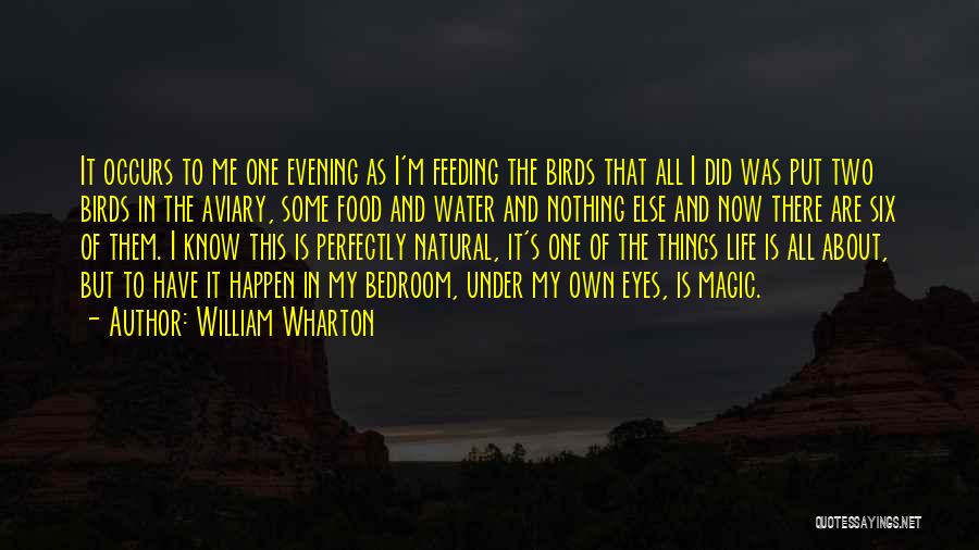 William Wharton Quotes: It Occurs To Me One Evening As I'm Feeding The Birds That All I Did Was Put Two Birds In