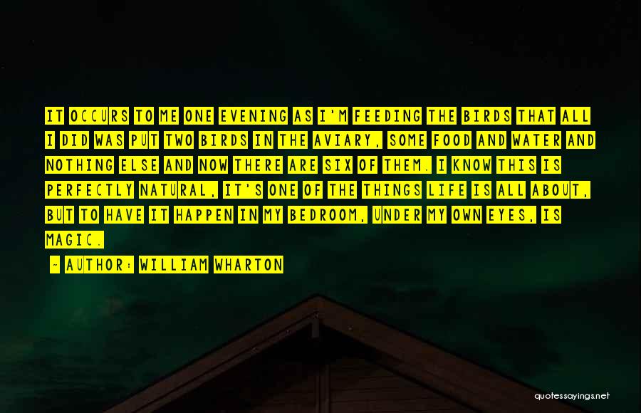 William Wharton Quotes: It Occurs To Me One Evening As I'm Feeding The Birds That All I Did Was Put Two Birds In