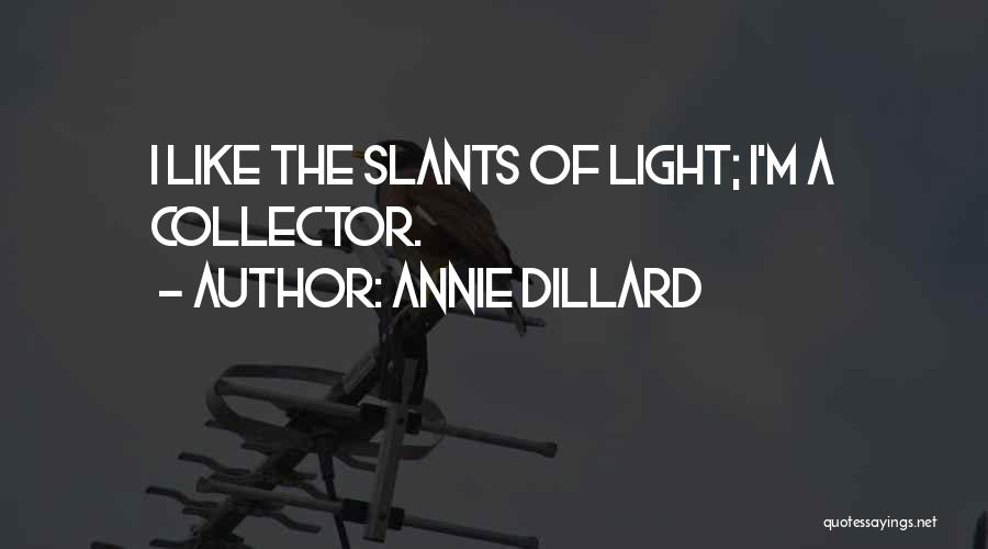 Annie Dillard Quotes: I Like The Slants Of Light; I'm A Collector.