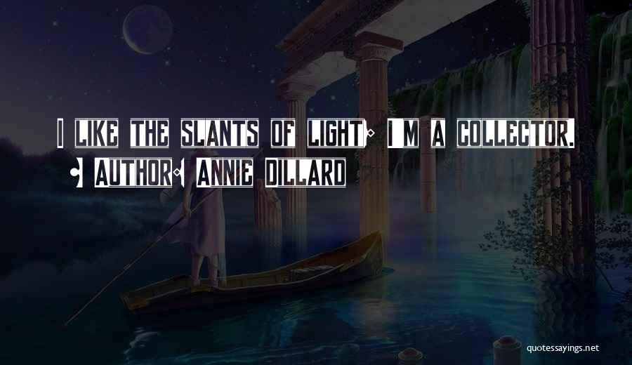 Annie Dillard Quotes: I Like The Slants Of Light; I'm A Collector.