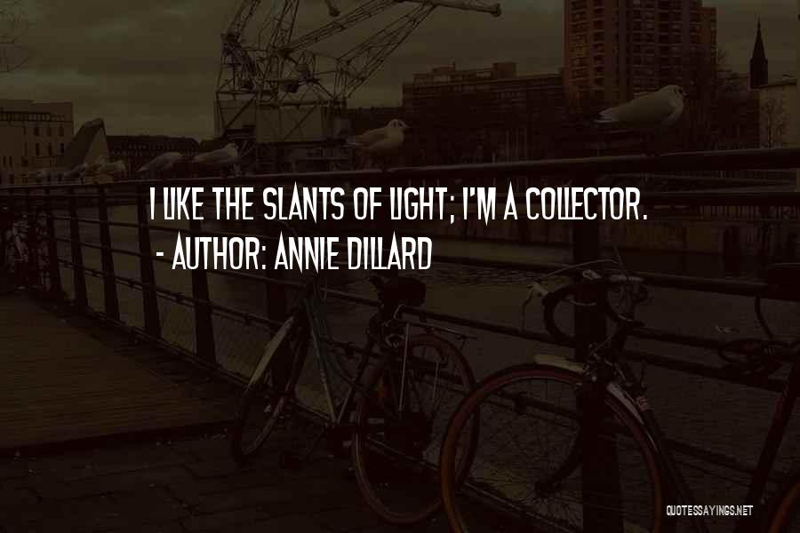 Annie Dillard Quotes: I Like The Slants Of Light; I'm A Collector.