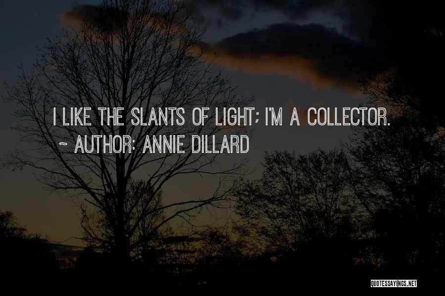 Annie Dillard Quotes: I Like The Slants Of Light; I'm A Collector.
