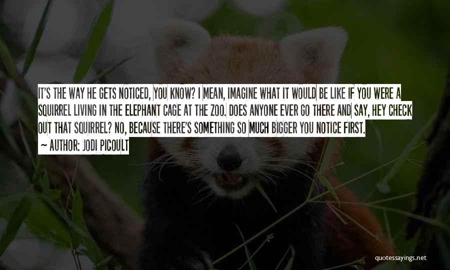 Jodi Picoult Quotes: It's The Way He Gets Noticed, You Know? I Mean, Imagine What It Would Be Like If You Were A