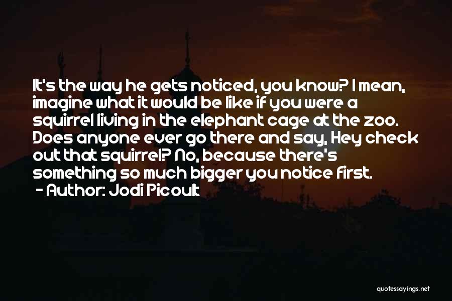 Jodi Picoult Quotes: It's The Way He Gets Noticed, You Know? I Mean, Imagine What It Would Be Like If You Were A