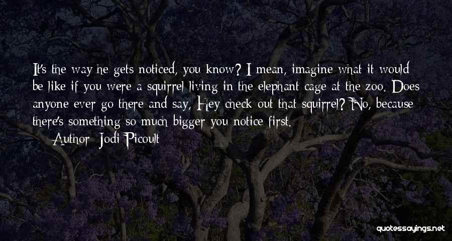 Jodi Picoult Quotes: It's The Way He Gets Noticed, You Know? I Mean, Imagine What It Would Be Like If You Were A