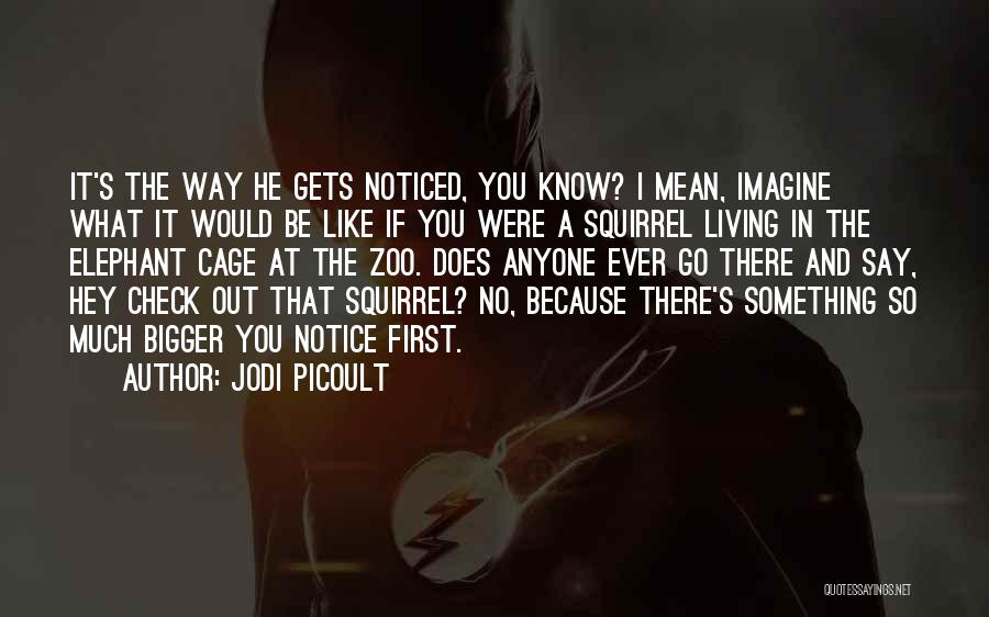 Jodi Picoult Quotes: It's The Way He Gets Noticed, You Know? I Mean, Imagine What It Would Be Like If You Were A