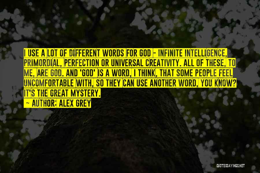 Alex Grey Quotes: I Use A Lot Of Different Words For God - Infinite Intelligence, Primordial, Perfection Or Universal Creativity. All Of These,