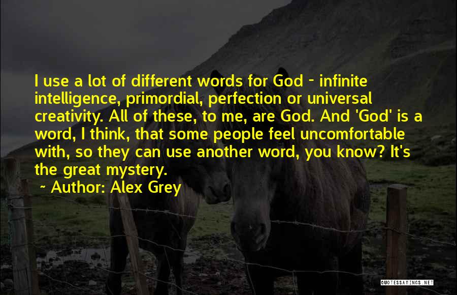 Alex Grey Quotes: I Use A Lot Of Different Words For God - Infinite Intelligence, Primordial, Perfection Or Universal Creativity. All Of These,