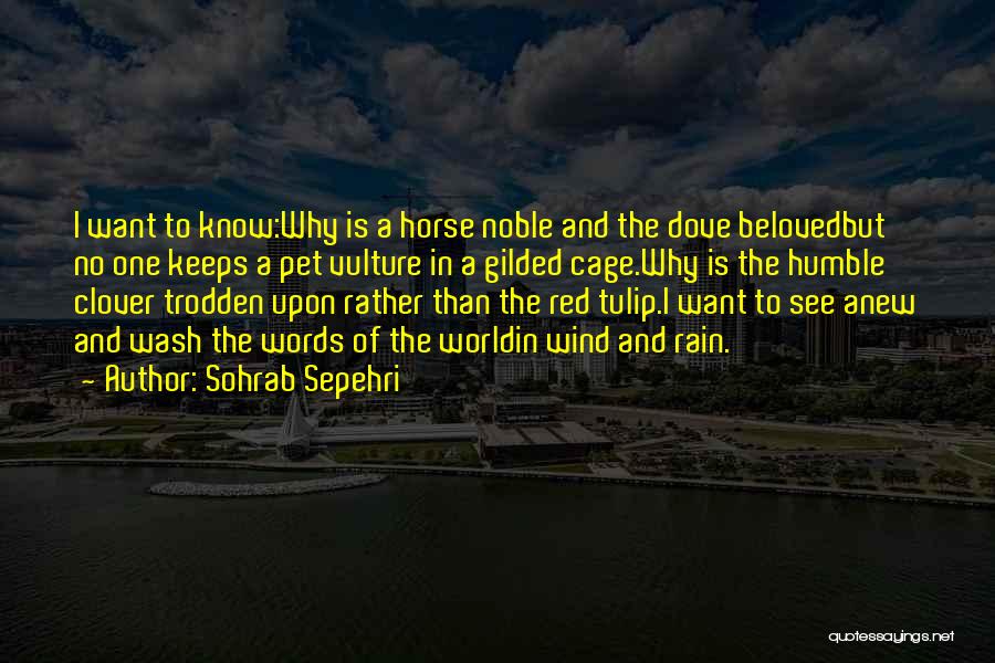 Sohrab Sepehri Quotes: I Want To Know:why Is A Horse Noble And The Dove Belovedbut No One Keeps A Pet Vulture In A
