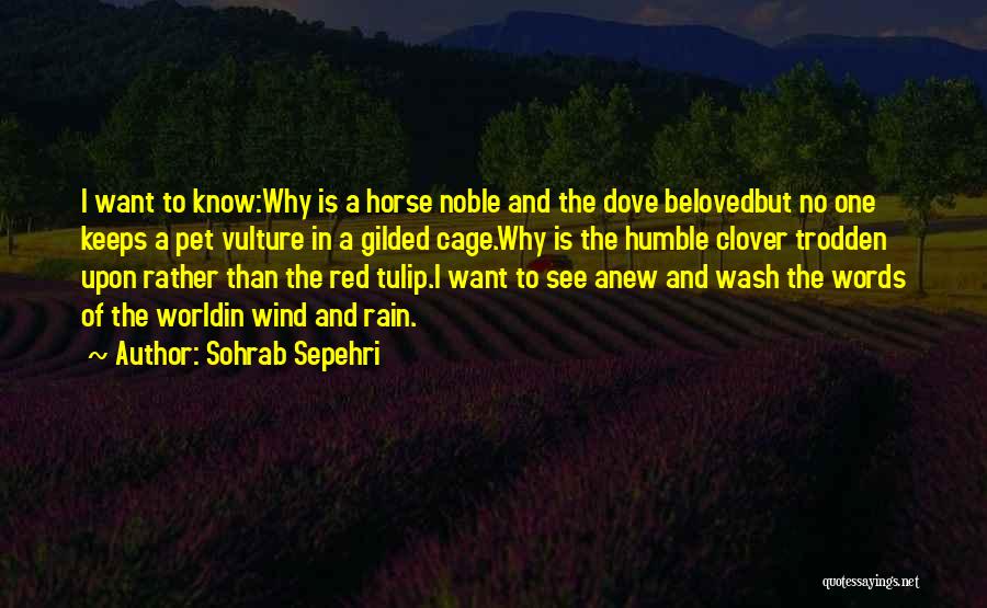 Sohrab Sepehri Quotes: I Want To Know:why Is A Horse Noble And The Dove Belovedbut No One Keeps A Pet Vulture In A