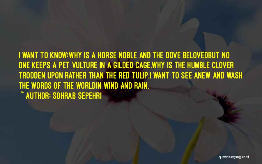 Sohrab Sepehri Quotes: I Want To Know:why Is A Horse Noble And The Dove Belovedbut No One Keeps A Pet Vulture In A