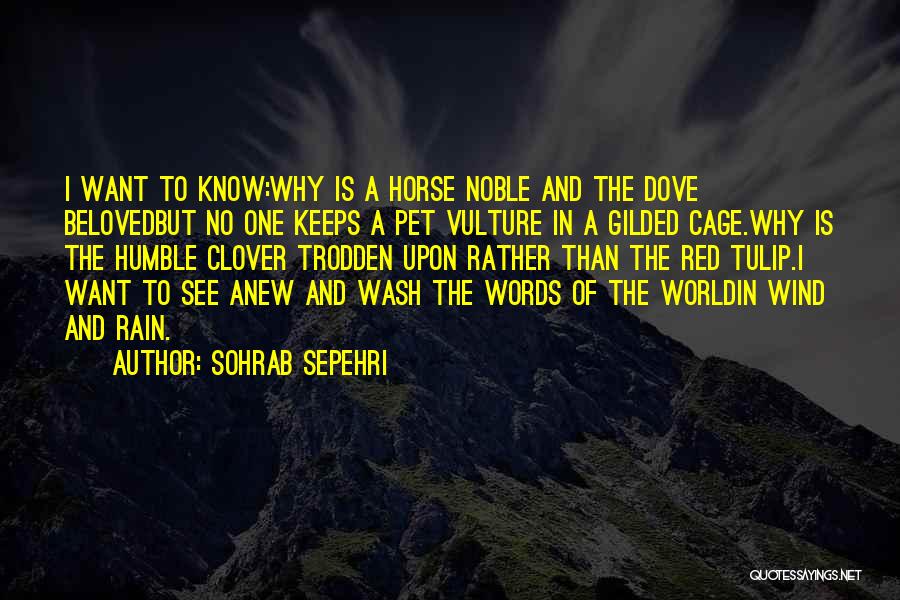 Sohrab Sepehri Quotes: I Want To Know:why Is A Horse Noble And The Dove Belovedbut No One Keeps A Pet Vulture In A