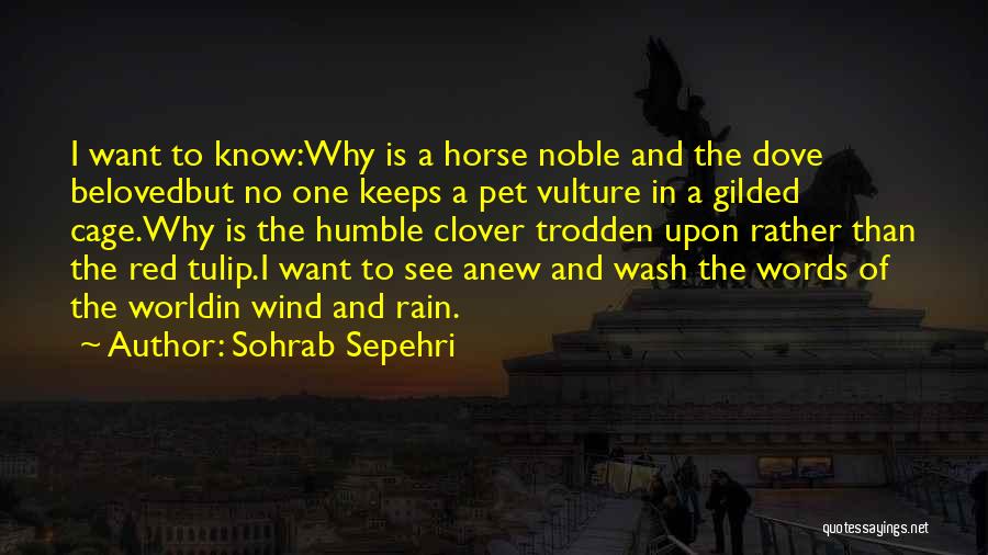 Sohrab Sepehri Quotes: I Want To Know:why Is A Horse Noble And The Dove Belovedbut No One Keeps A Pet Vulture In A