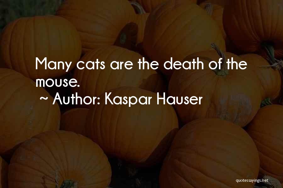 Kaspar Hauser Quotes: Many Cats Are The Death Of The Mouse.