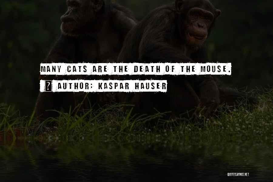 Kaspar Hauser Quotes: Many Cats Are The Death Of The Mouse.