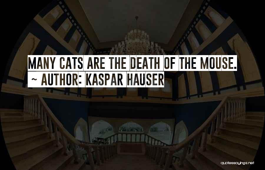 Kaspar Hauser Quotes: Many Cats Are The Death Of The Mouse.