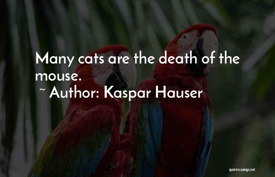 Kaspar Hauser Quotes: Many Cats Are The Death Of The Mouse.