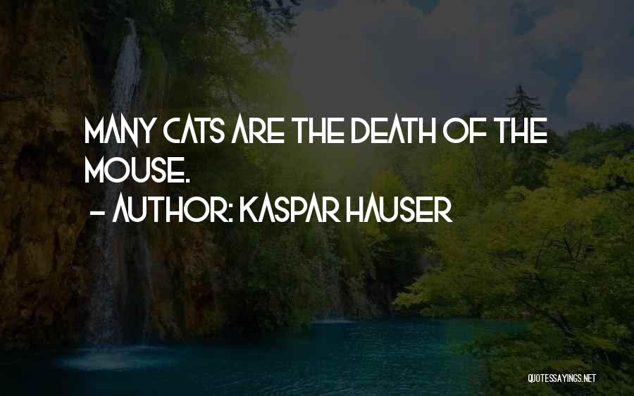 Kaspar Hauser Quotes: Many Cats Are The Death Of The Mouse.