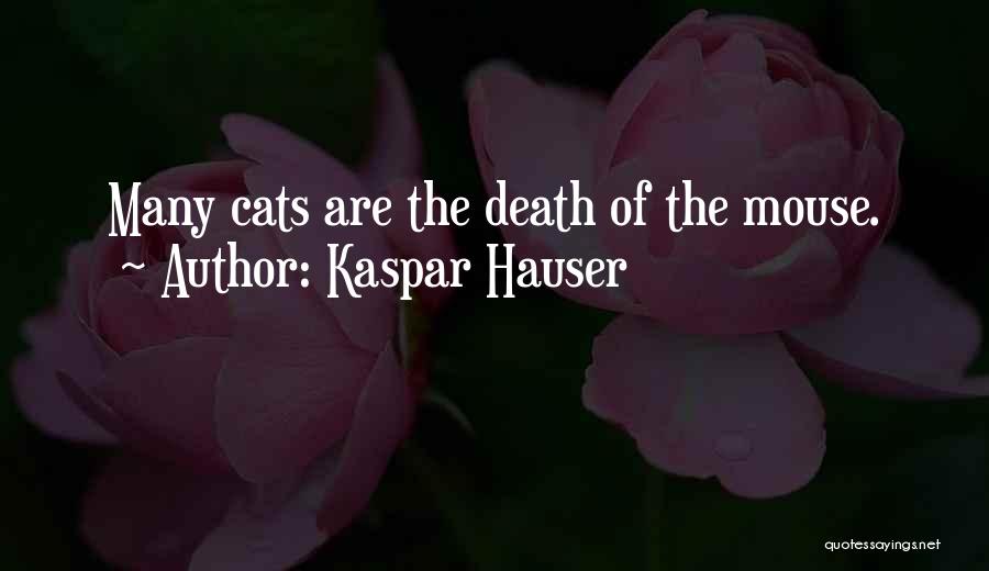 Kaspar Hauser Quotes: Many Cats Are The Death Of The Mouse.