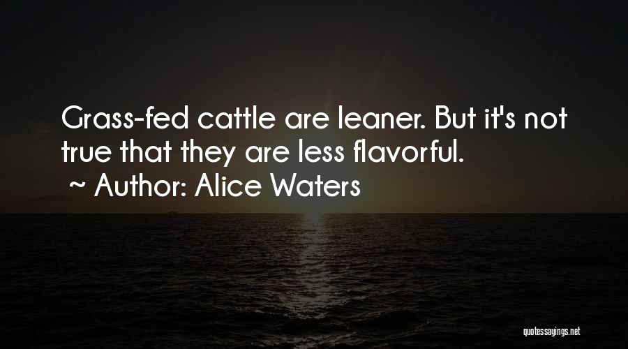 Alice Waters Quotes: Grass-fed Cattle Are Leaner. But It's Not True That They Are Less Flavorful.