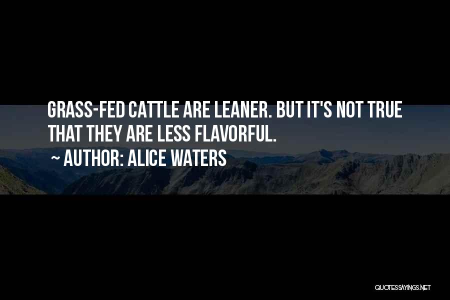 Alice Waters Quotes: Grass-fed Cattle Are Leaner. But It's Not True That They Are Less Flavorful.