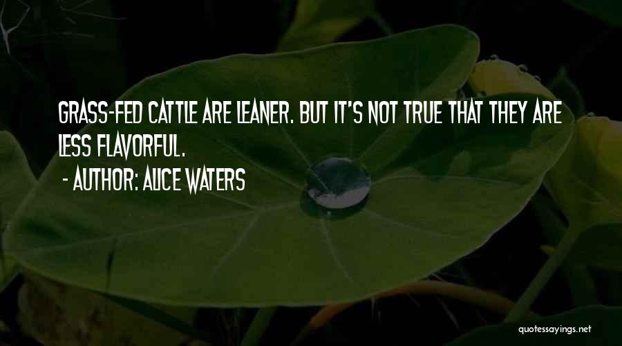 Alice Waters Quotes: Grass-fed Cattle Are Leaner. But It's Not True That They Are Less Flavorful.