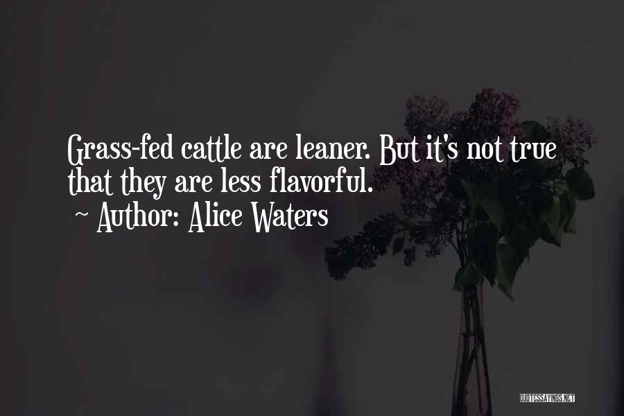 Alice Waters Quotes: Grass-fed Cattle Are Leaner. But It's Not True That They Are Less Flavorful.