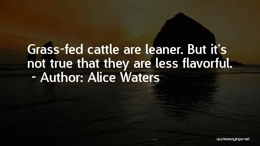 Alice Waters Quotes: Grass-fed Cattle Are Leaner. But It's Not True That They Are Less Flavorful.