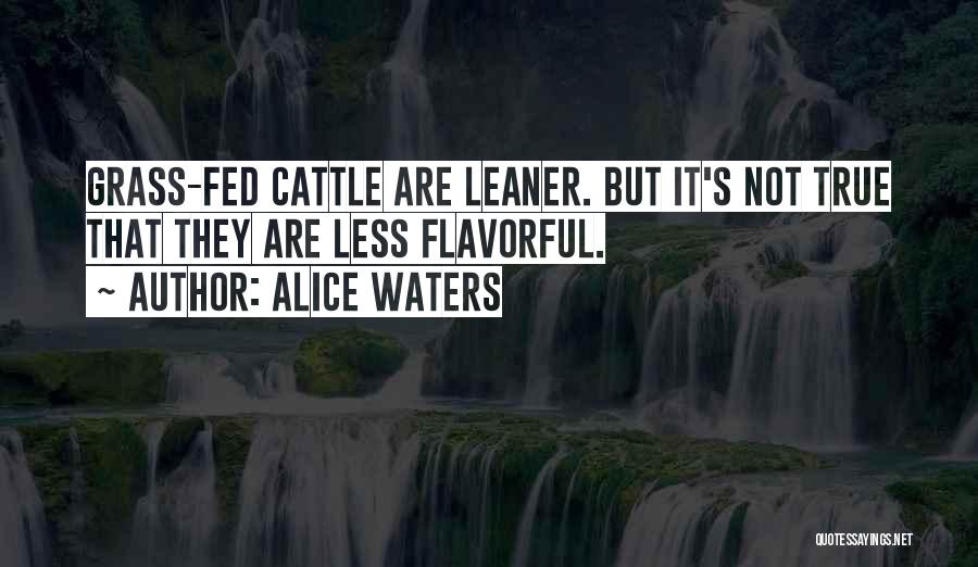 Alice Waters Quotes: Grass-fed Cattle Are Leaner. But It's Not True That They Are Less Flavorful.