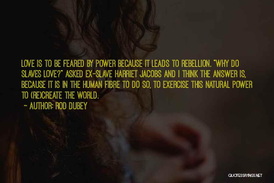 Rod Dubey Quotes: Love Is To Be Feared By Power Because It Leads To Rebellion. Why Do Slaves Love? Asked Ex-slave Harriet Jacobs