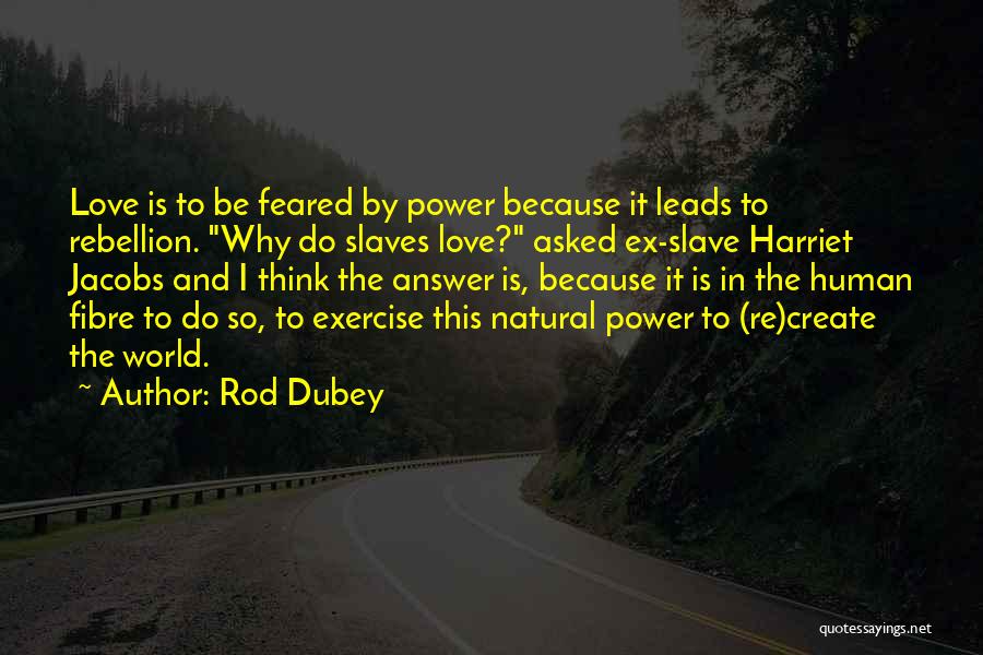 Rod Dubey Quotes: Love Is To Be Feared By Power Because It Leads To Rebellion. Why Do Slaves Love? Asked Ex-slave Harriet Jacobs