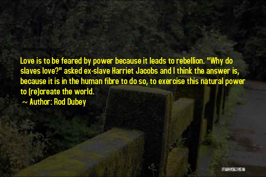 Rod Dubey Quotes: Love Is To Be Feared By Power Because It Leads To Rebellion. Why Do Slaves Love? Asked Ex-slave Harriet Jacobs