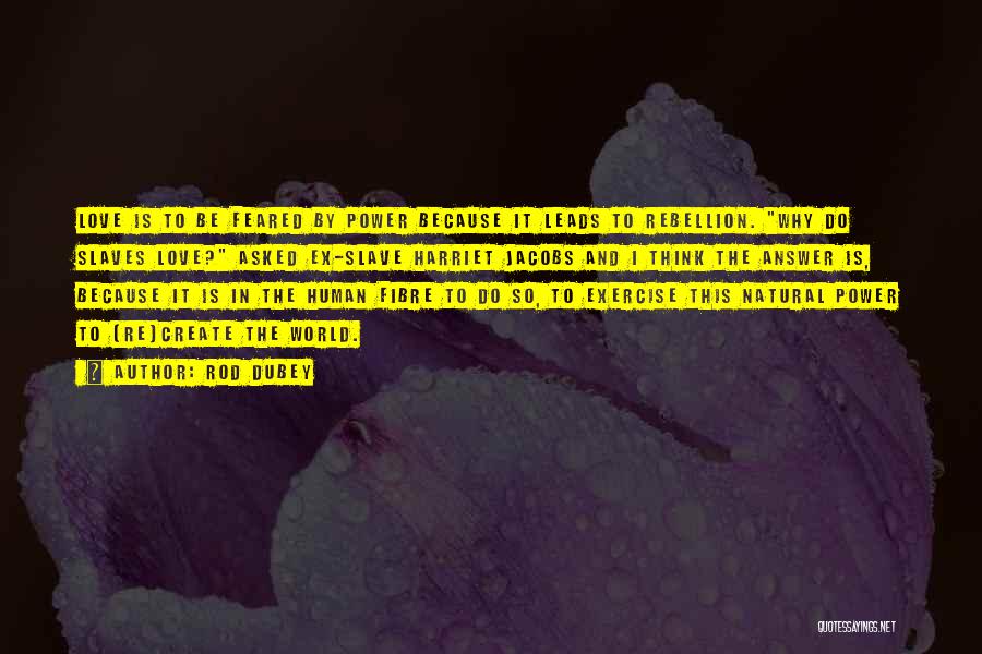 Rod Dubey Quotes: Love Is To Be Feared By Power Because It Leads To Rebellion. Why Do Slaves Love? Asked Ex-slave Harriet Jacobs