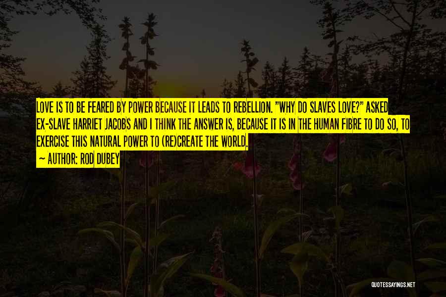 Rod Dubey Quotes: Love Is To Be Feared By Power Because It Leads To Rebellion. Why Do Slaves Love? Asked Ex-slave Harriet Jacobs